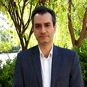 Dr Mehdi Goodarzi