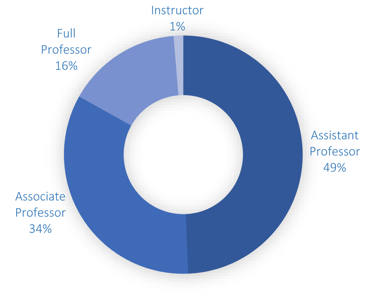 Distribution of Faculty Members at MA Departments