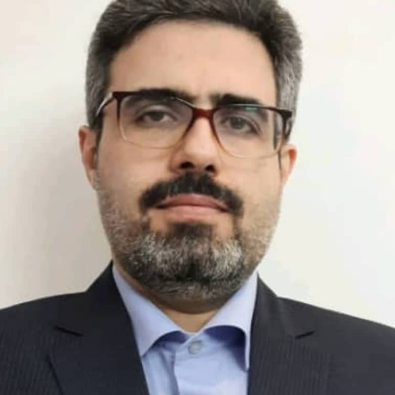 سیدمجتبی محمودزاده