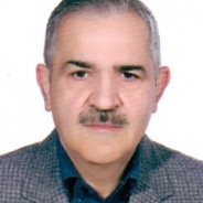 فرخ برزیده