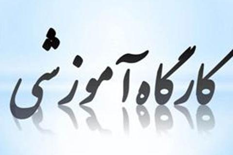 برگزاری کارگاههای مهارت افزایی پژوهشی
