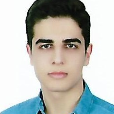 رضا صفی