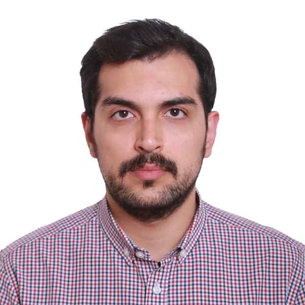 حامد حسن زاده