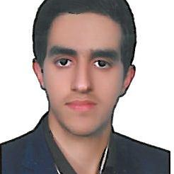 محسن روستائی
