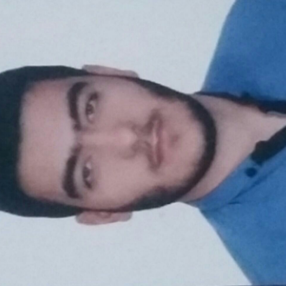 مبین گودرزی