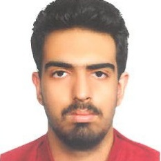 سیدمحمدمهدی تقی زاده