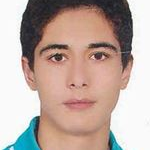 حامد لطفی