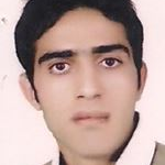 فردین ویسی