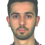 امیر صلح جو