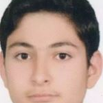 علی زرمالی